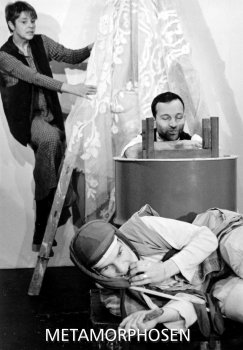 Metamorphosen - nach Ovid